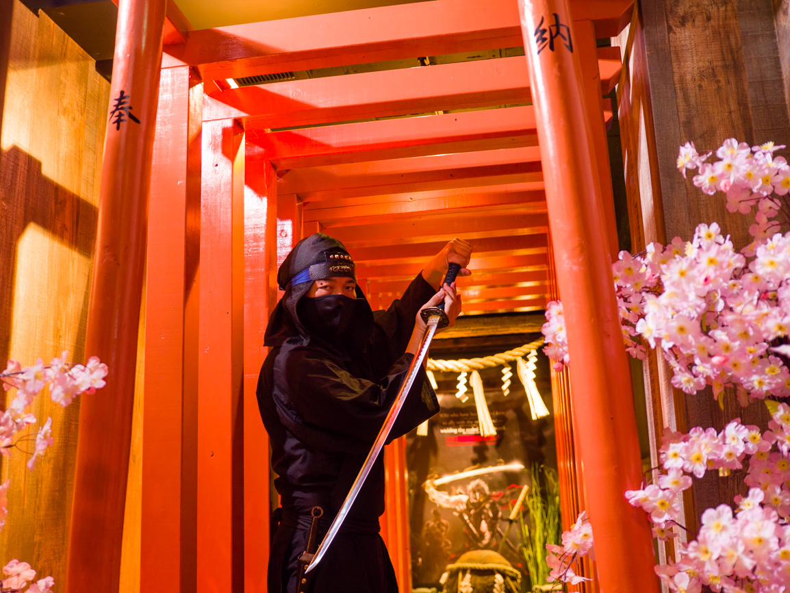 手裏剣道場 新宿忍者からくり屋敷 NINJA TRICK HOUSE IN TOKYO / 一日